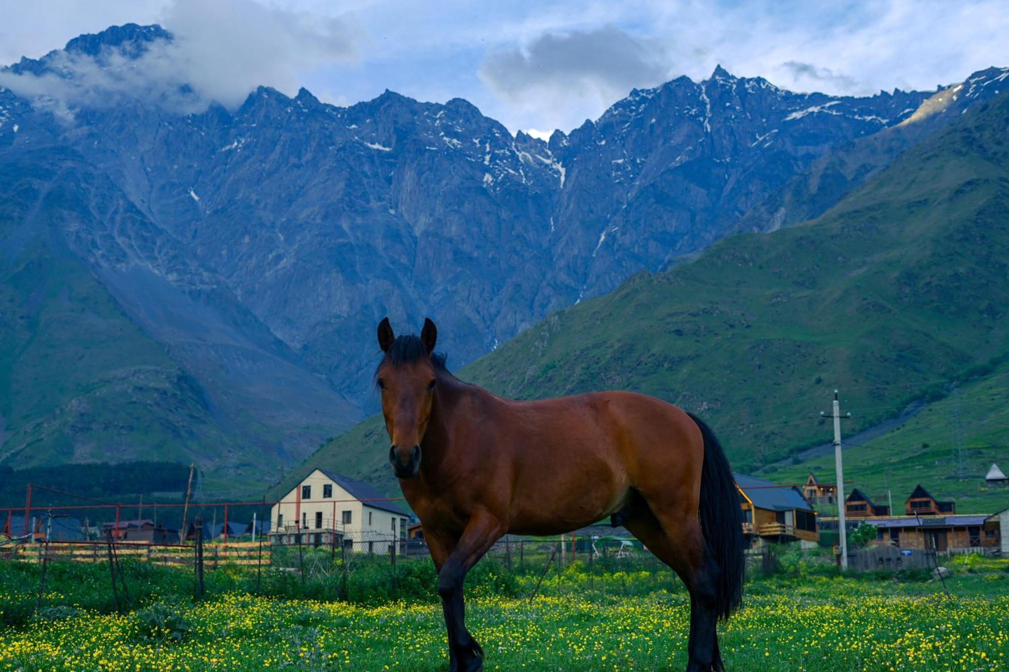 Savalley Kazbegi Exterior photo